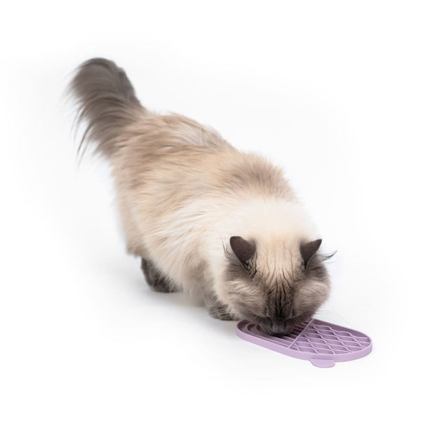 Schleckmatte für Katzen: Mehr als nur Leckerbissen