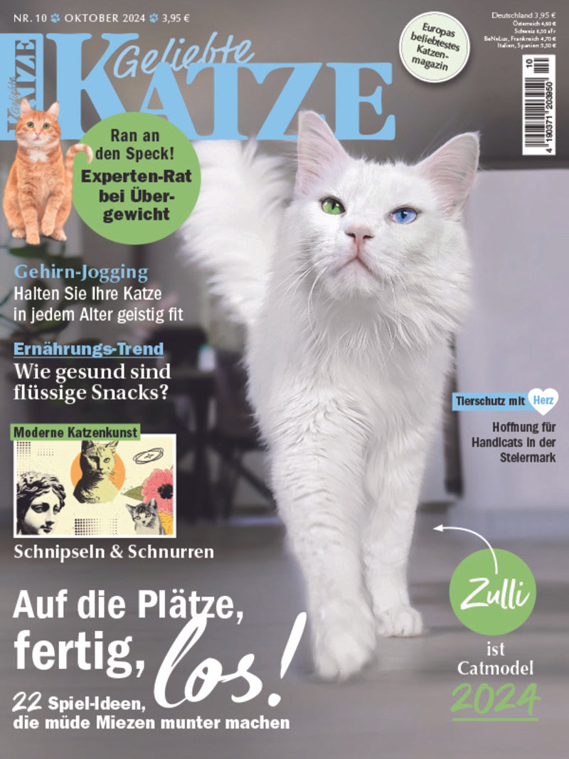 Geliebte Katze - Oktober 2024