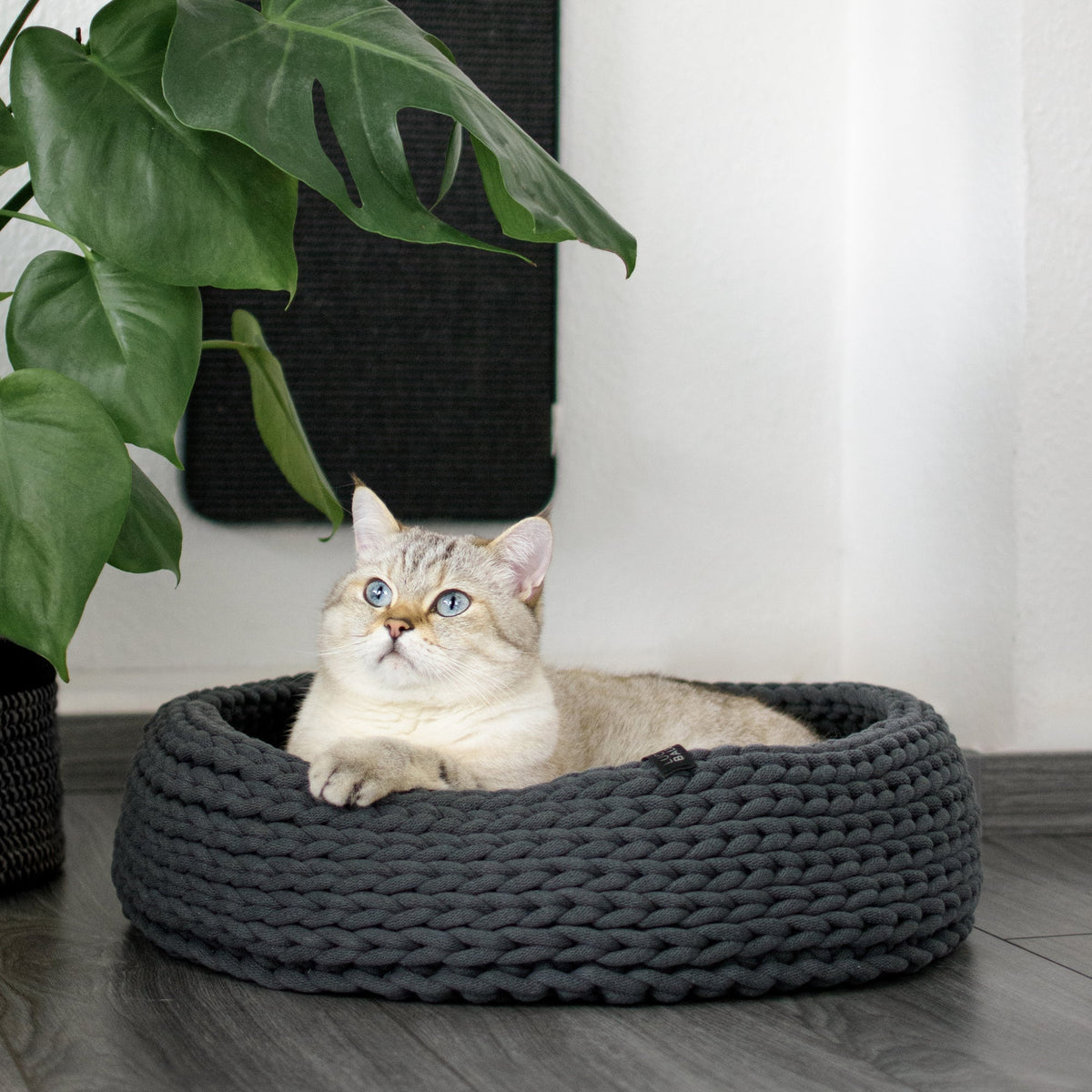 Design Katzenbett anthrazit