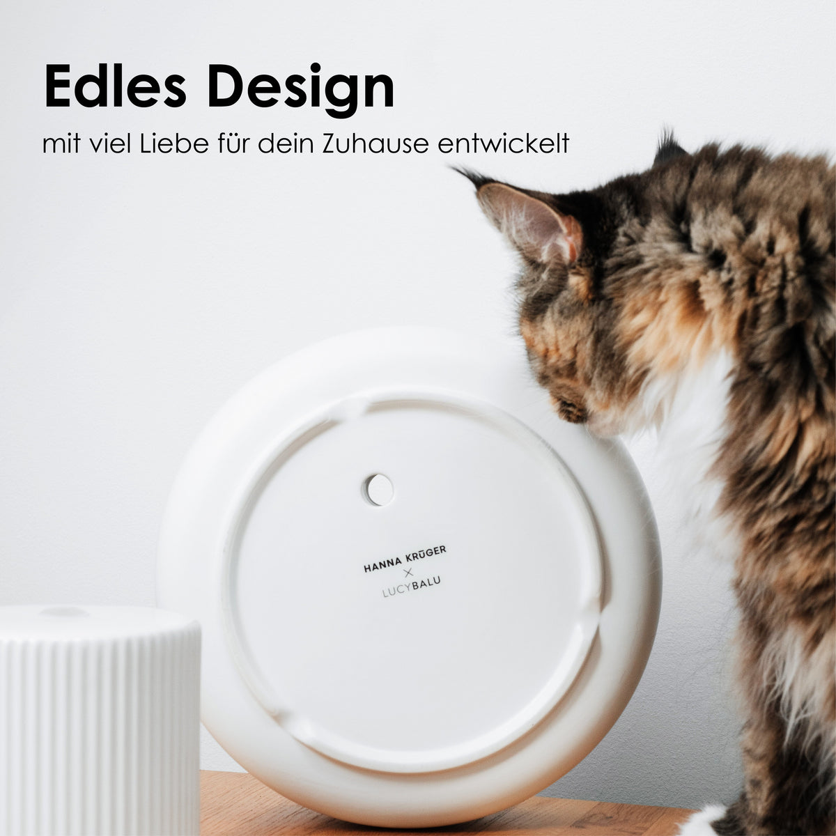 Designer Katzen Trinkbrunnen