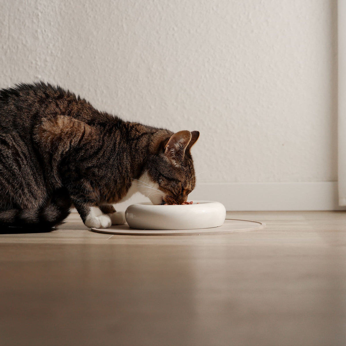 DROP Katzennapf