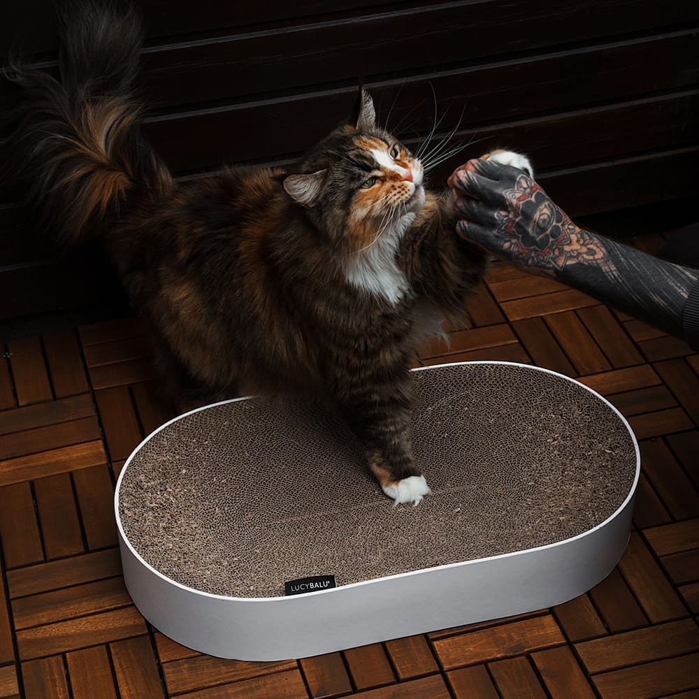 SCRATCHBED Kartonbett