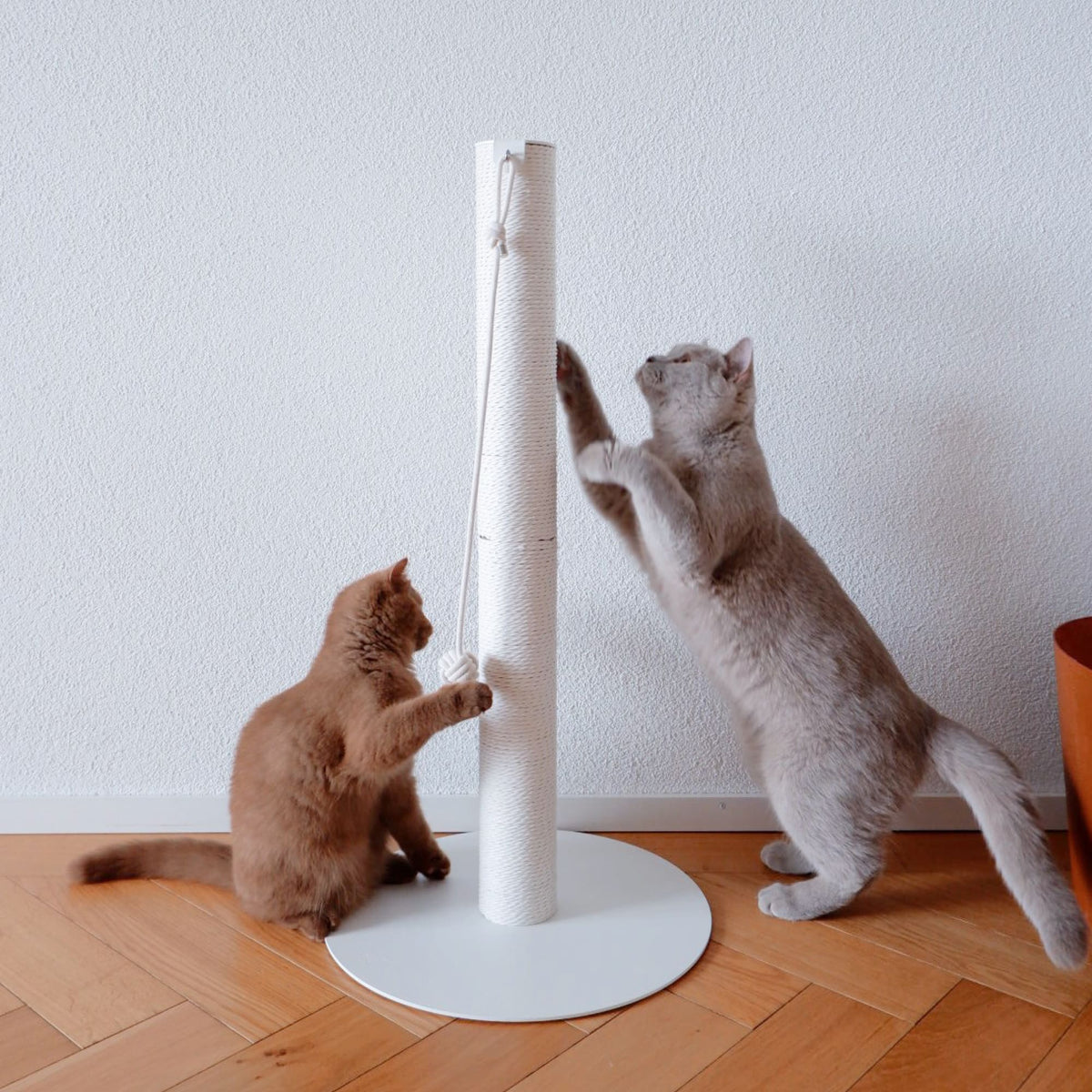 PAPERPOLE Kratzsäule freistehend