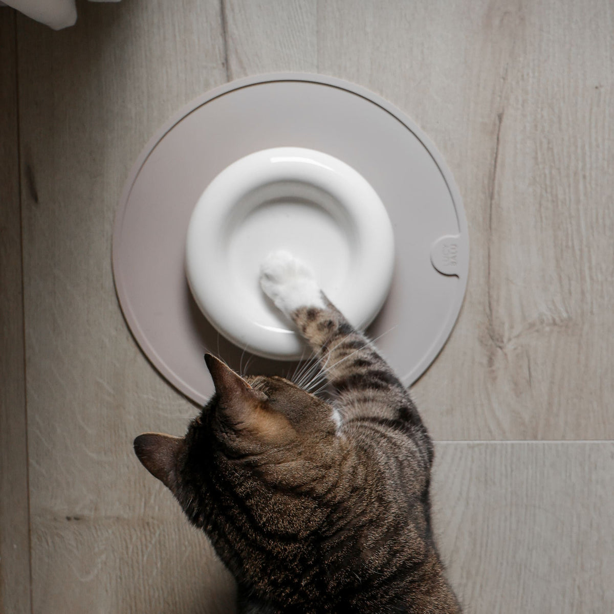 DROP Katzennapf