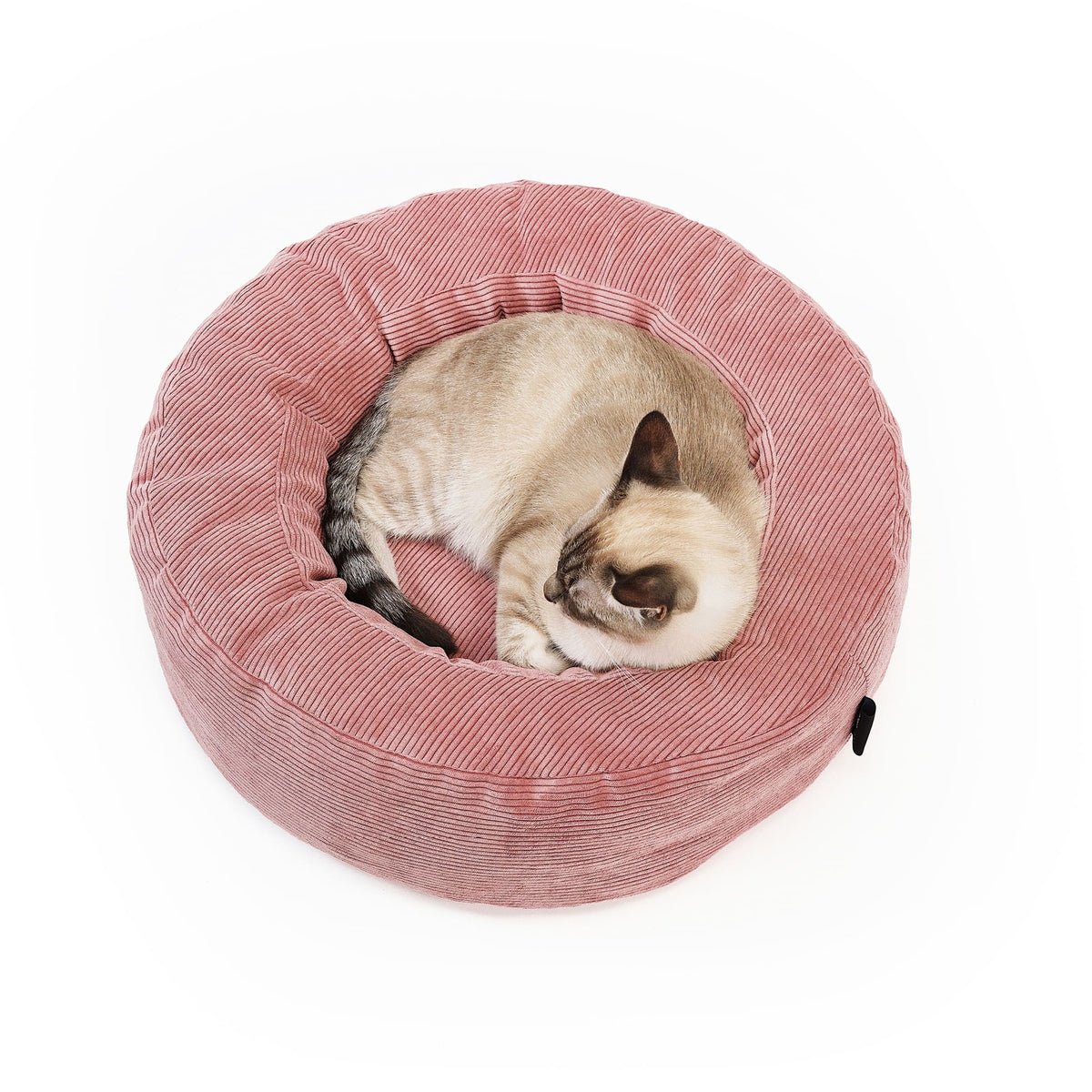 Siamkatze schläft eingerollt im runden Katzenbett aus rosafarbenem Cordstoff – kuschelig und modern.