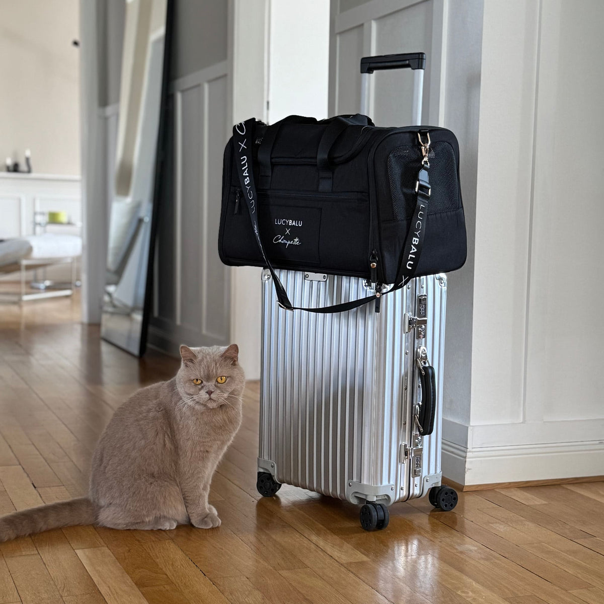 B-Ware: CHECK-IN Katzentransporttasche | Choupette Edition