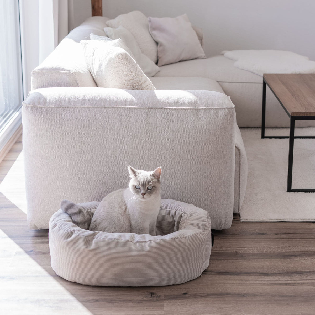 DINGHY Katzenbett