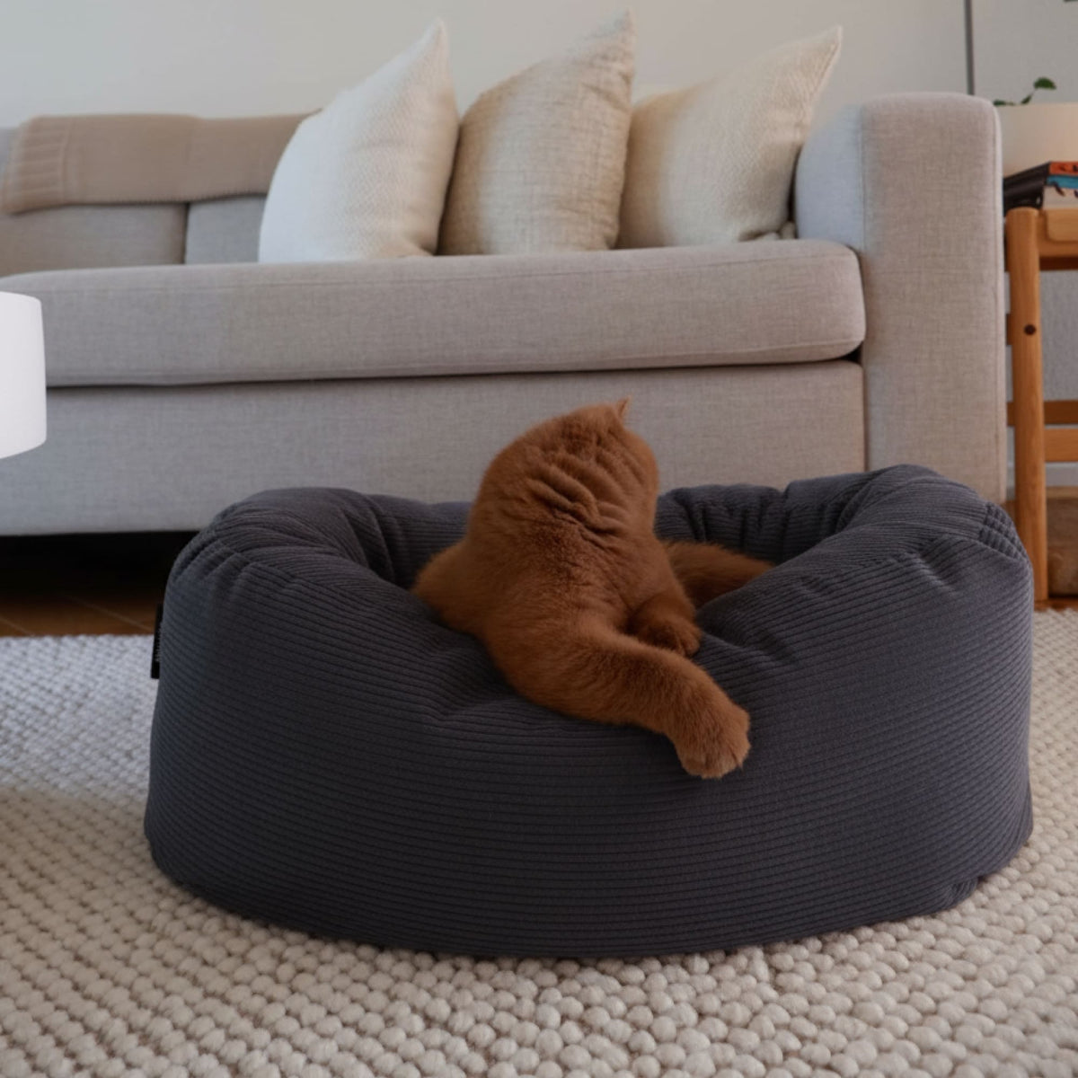 DINGHY Katzenbett