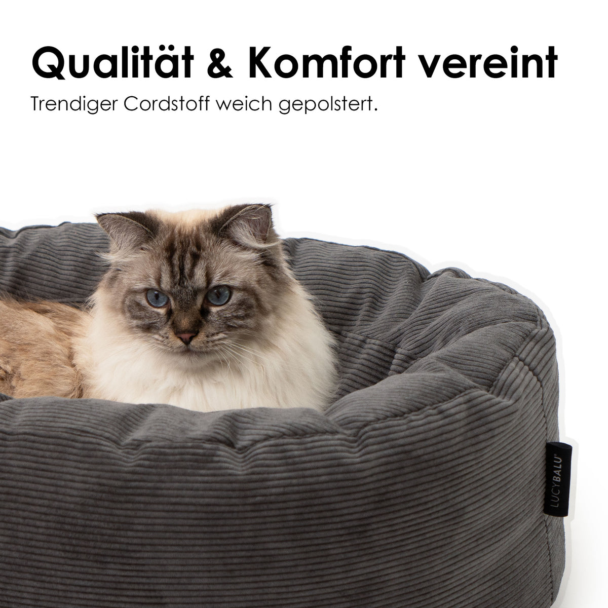 DINGHY Katzenbett