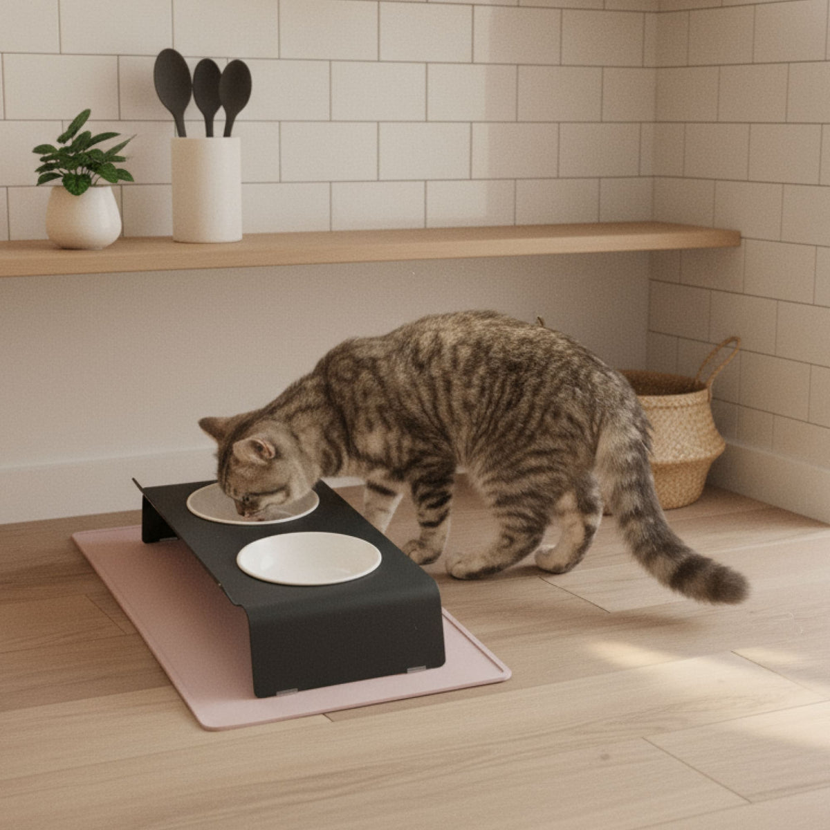 DINE Futterstation