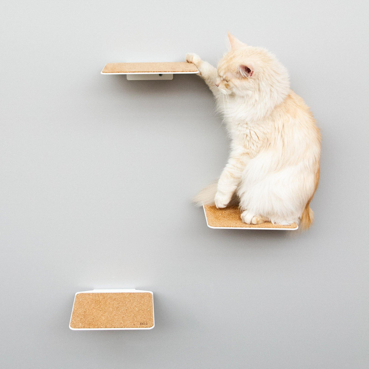Katzenstufen weiß